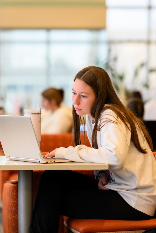 Student in white sweatshirt looking at a laptop